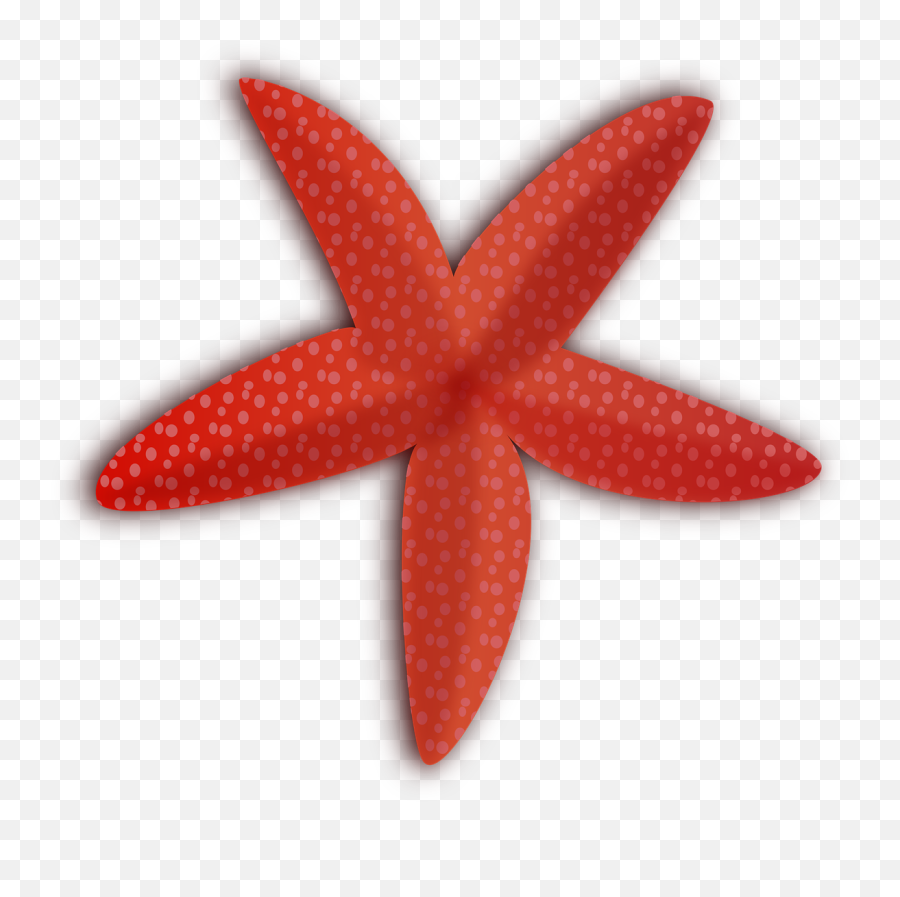 Transparent Starfish Png Emoji,Starfish Clipart