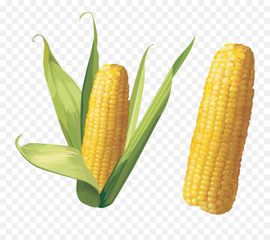 Corn Clipart Farm Food Corn Farm Food Transparent Free For - Corn Hd Png Emoji,Corn Clipart
