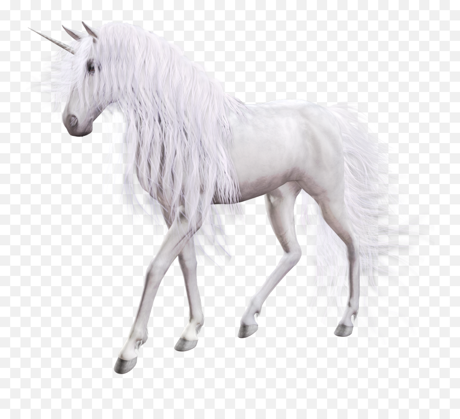 Download Transparent Background White - Real Unicorn White Background Emoji,Unicorn Transparent Background