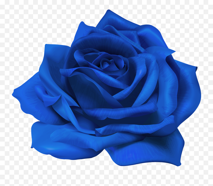 Blue Flower Transparent - Transparent Real Blue Flower Png Emoji,Flower Transparent