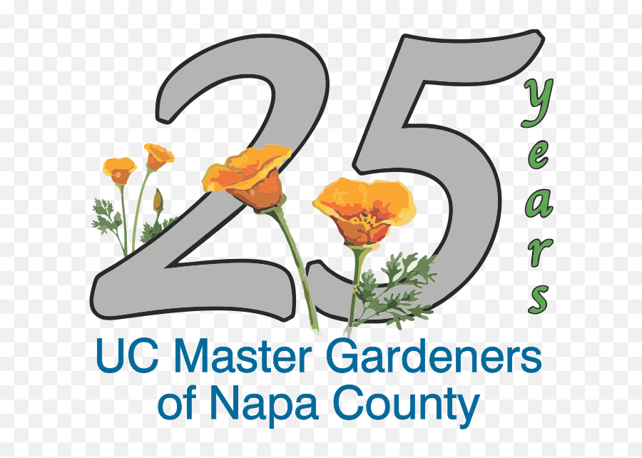 25 Garden Tips - Spill The Beans Anr Blogs Emoji,25th Anniversary Clipart