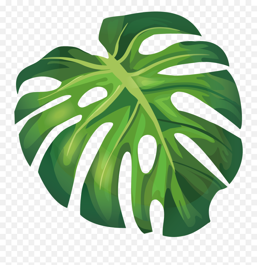 Arecaceae Euclidean Illustration Green - Banana Leaf Vector Summer Leaf Vector Png Emoji,Vector Clipart