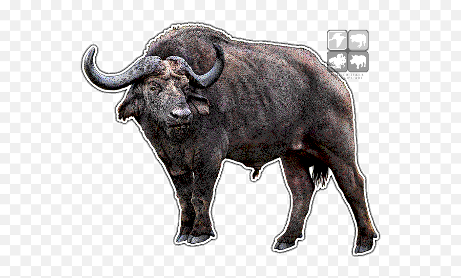 Buffalo Png Images Transparent Free Download Pngmartcom Emoji,Buffalo Clipart Black And White