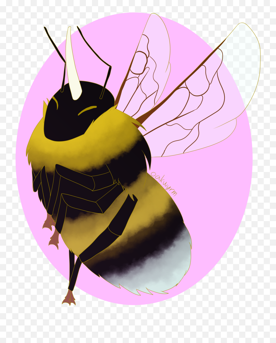 Oakwyrm Bee Unicorn Emoji,Unicorn Horn Transparent Background