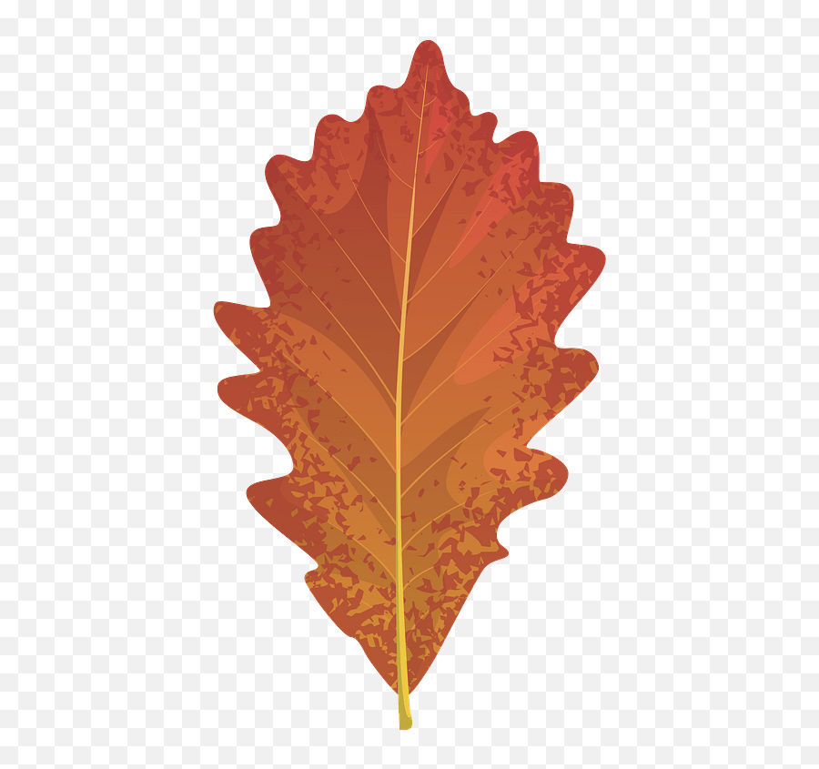 Swamp White Oak Autumn Leaf Clipart Free Download - Chinkapin Oak Emoji,Fall Clipart Free