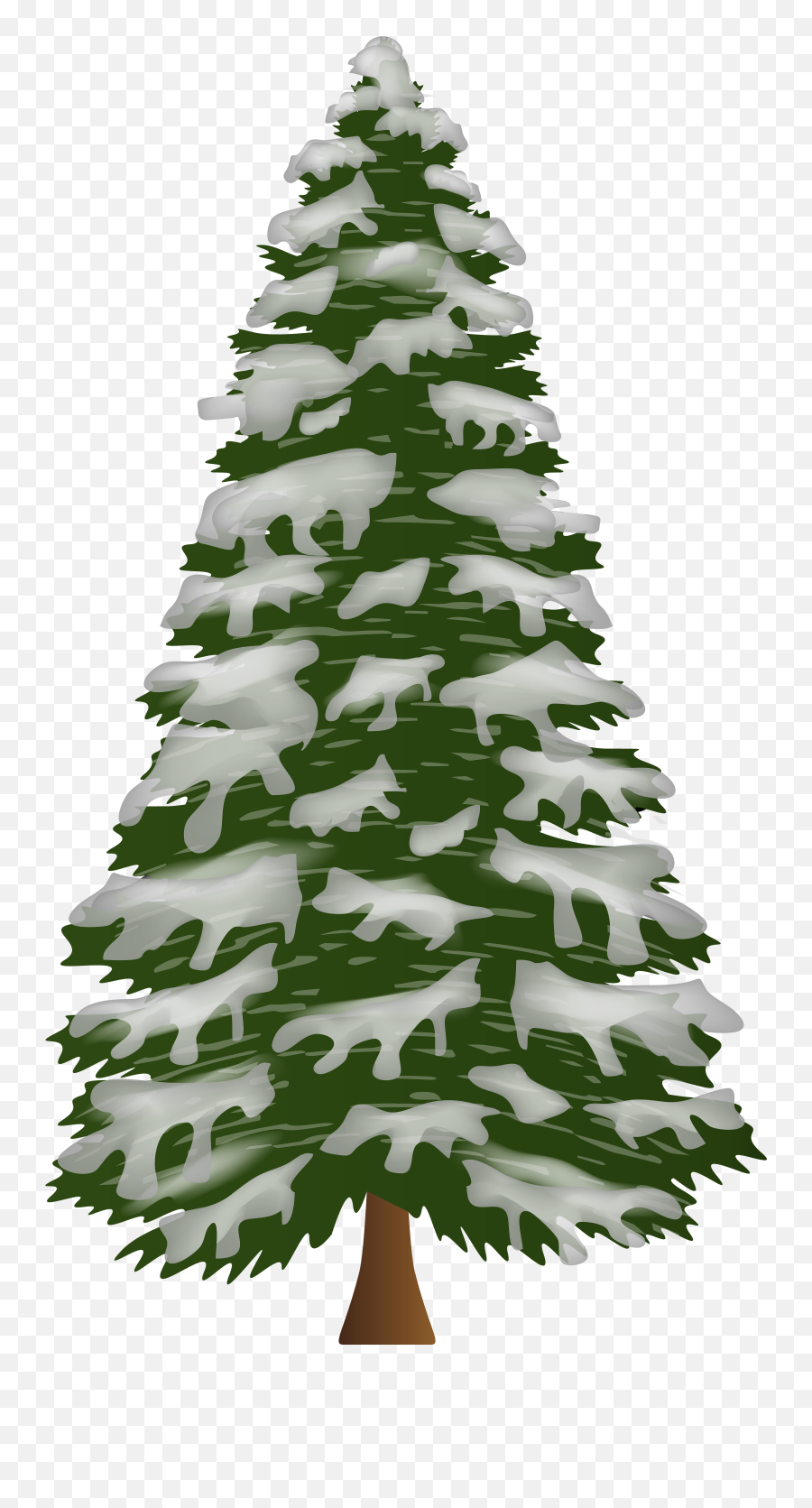 Library Of Trees With Snow Png Free Png - Boreal Conifer Emoji,Snow Clipart