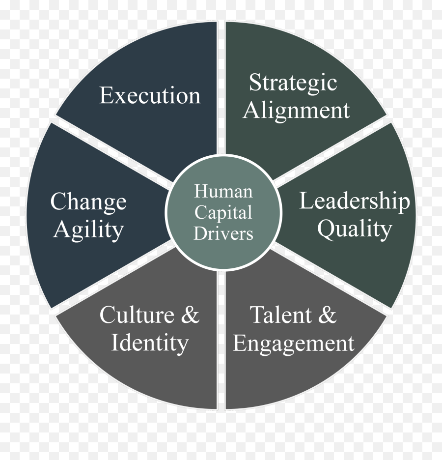 Human Capital Index U2014 Fmg Leading - Human Capital Strategy Hypertension Management Emoji,Human Transparent