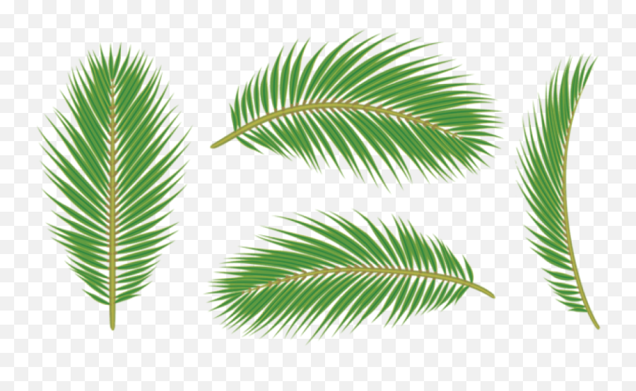 Tropical Leaf - Free Png Download Palm Leaves Png Clipart Tree Leaf Transparent Background Palm Leaf Png Emoji,Tropical Leaf Clipart