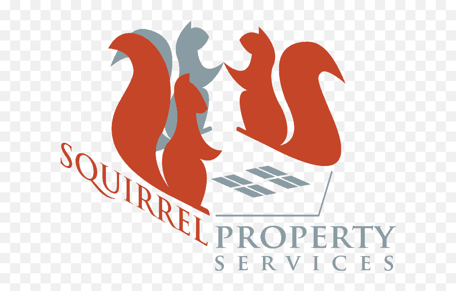 Squirrel Property Services - About Steven Emoji,Squirrel Logo