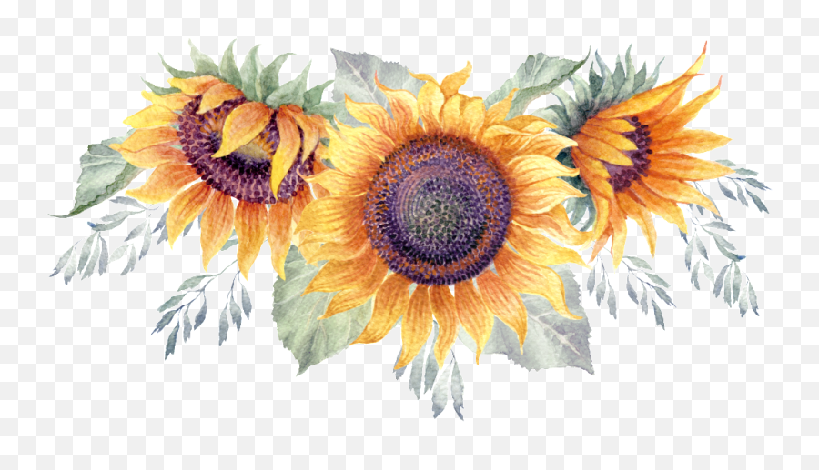 Download Green Watercolor Hand Painted Sunflower Transparent Emoji,Watercolor Sunflower Png
