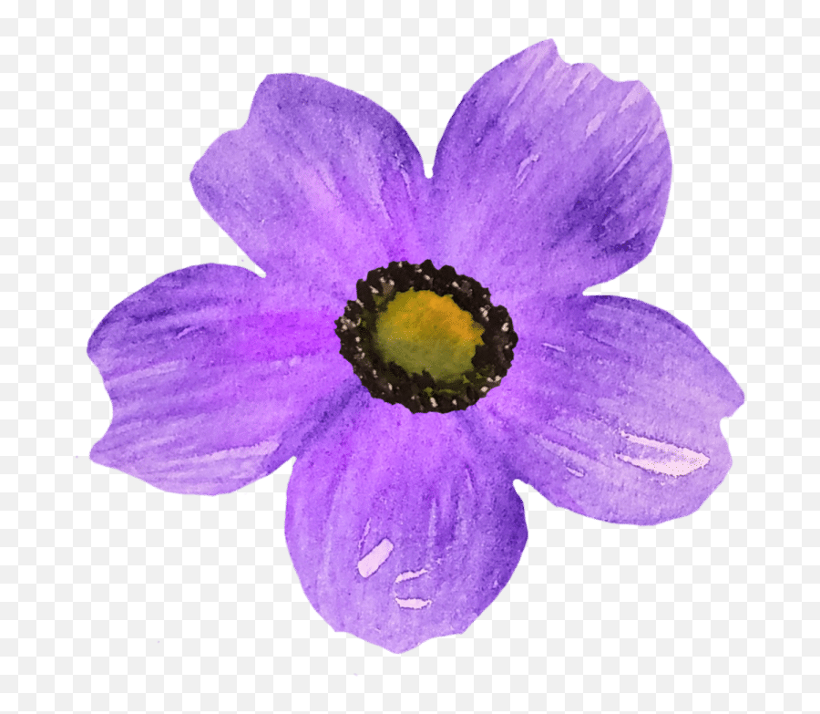 Purple Watercolor Flower Clip Art U2013 Mckinley Design Co Emoji,Purple Watercolor Png