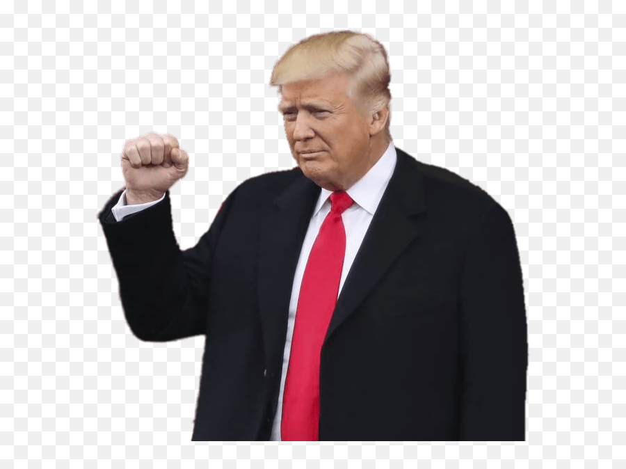 Trump Png Images Free Download Donald - Transparent Trump Png Emoji,Donald Trump Transparent