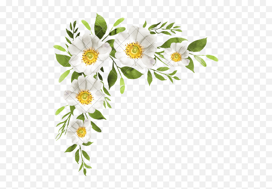 Watercolor White Flower Png Download - White Wedding Flower Png Emoji,White Flower Png