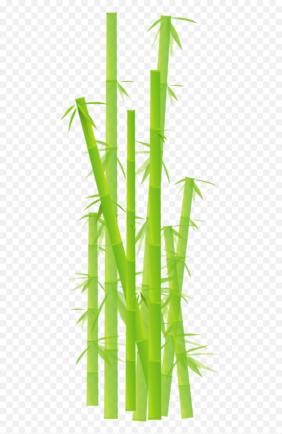 Bamboo Png Hd - Bamboo Transparent Background Png Emoji,Bamboo Png