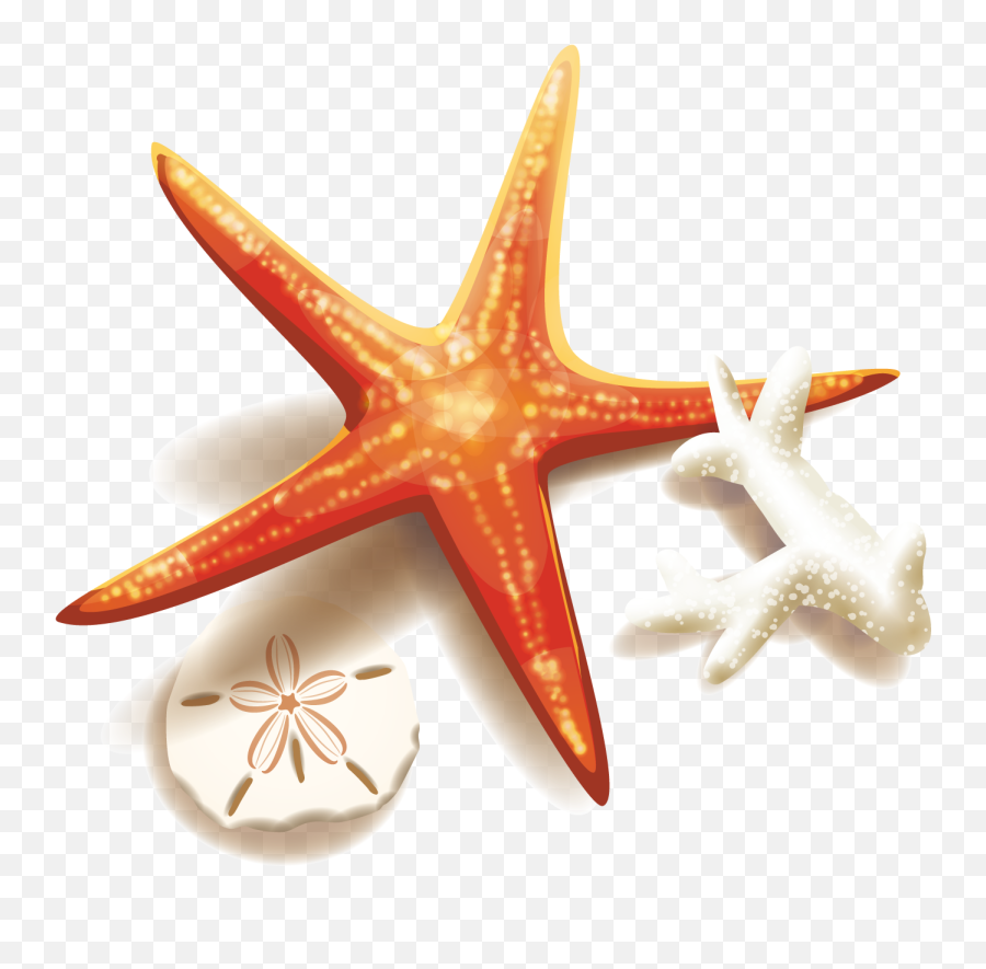 Free Clipart Hd Hq Png Image - Transparent Starfish Png Emoji,Starfish Clipart