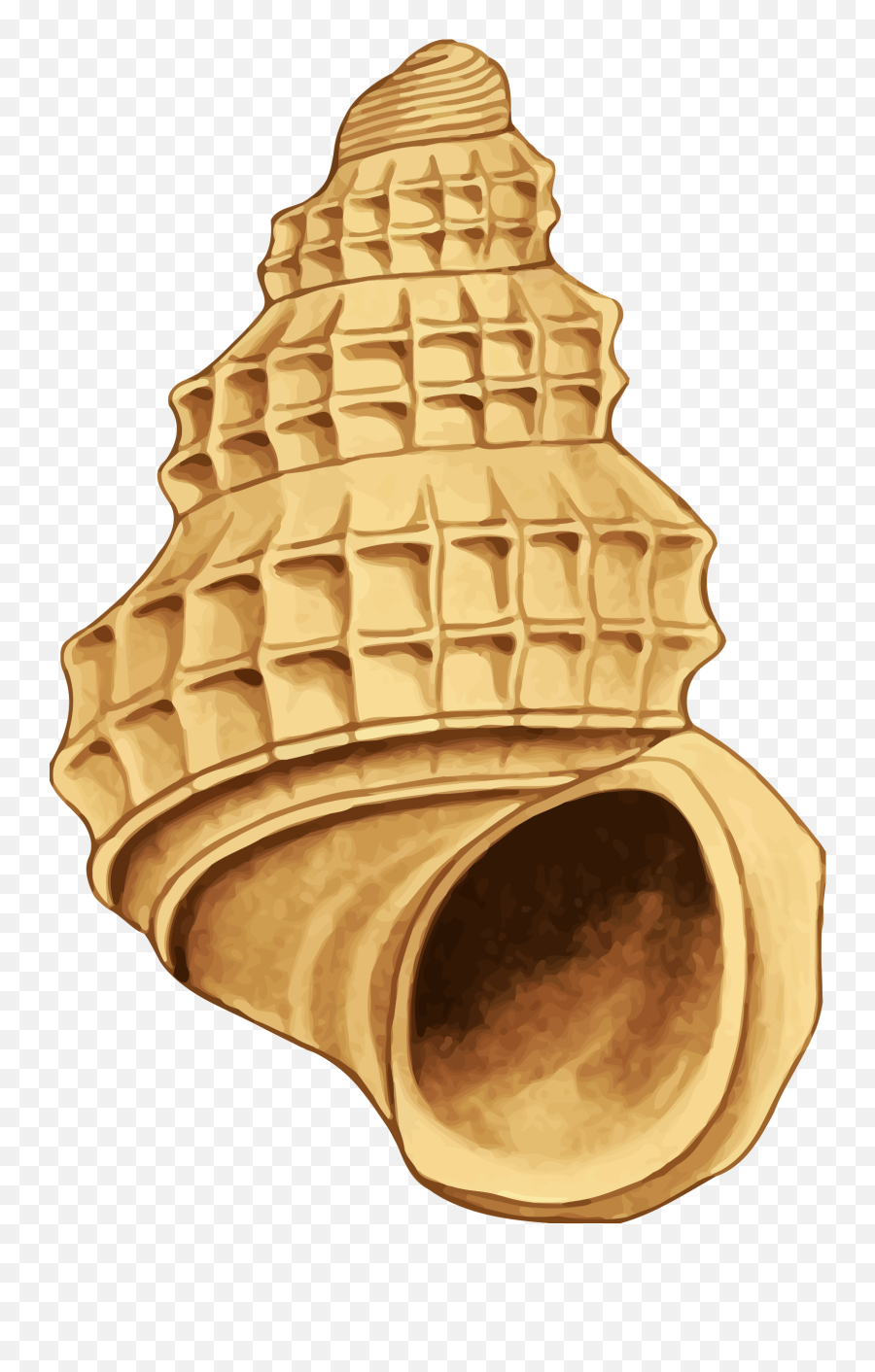 Shell Clipart Yellow Sea - Clip Art Emoji,Shell Clipart