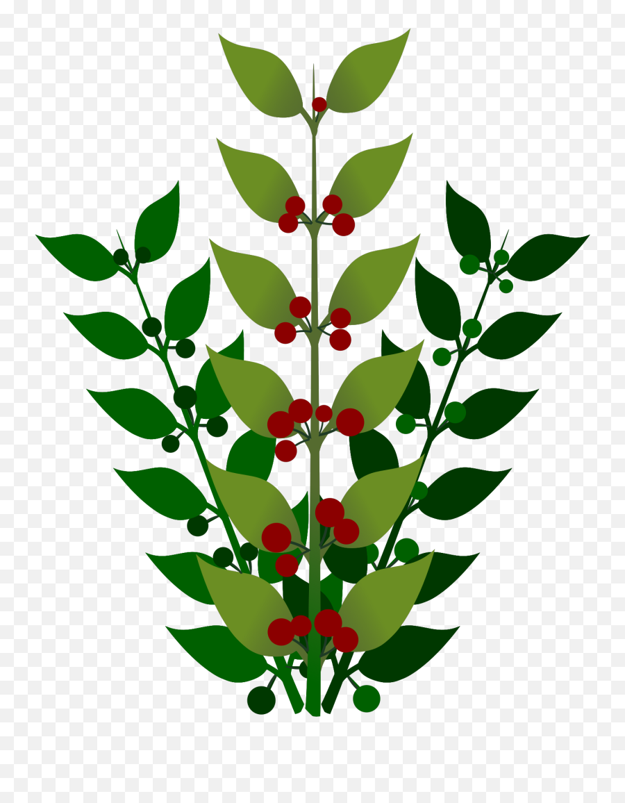 Plant Flower Leaf Png Clipart - Berries Bush Clipart Emoji,Blueberry Clipart