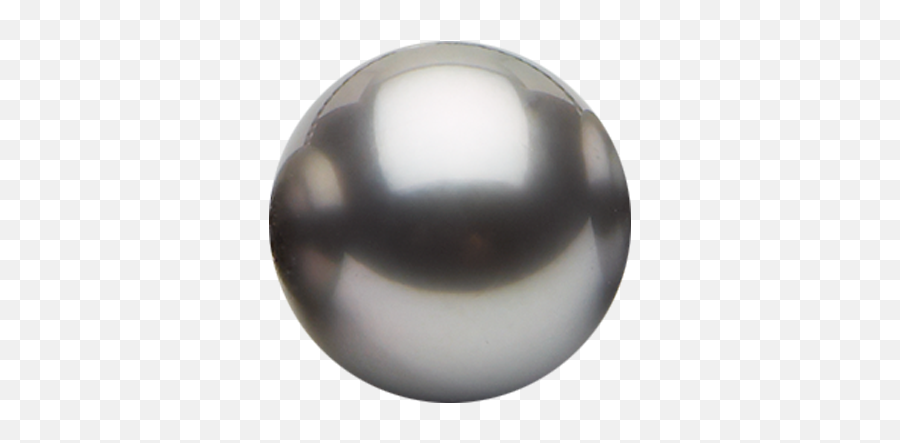 Tahitian Pearl Information American Pearl - Transparent Black Pearl Png Emoji,Pearls Png