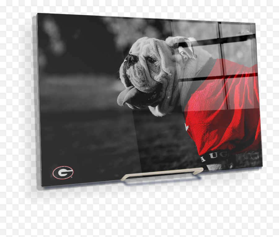 Georgia Bulldogs - Uga Poised Lcd Emoji,Georgia Bulldog Logo