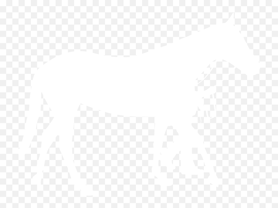 Pin Show Steer Clip Art - Livestock Show 786x595 Png Emoji,Show Clipart