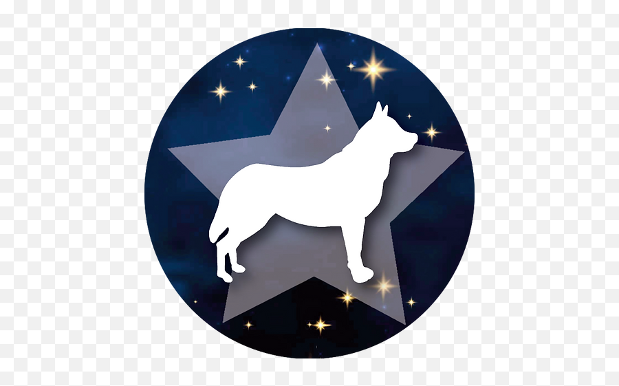Canismajors Nj Dog Training And Behavior Experts Emoji,Star Wolf Logo