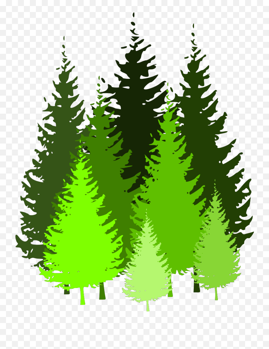 Pine Tree Grouping By Atom Svg Vector Pine Tree Grouping By - Pine Tree Color Silhouette Emoji,Atom Clipart