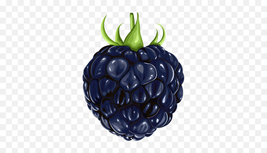 Plant Blackberry Fruit Clipart - Blackberry Fruit Clip Art Emoji,Fruit Clipart