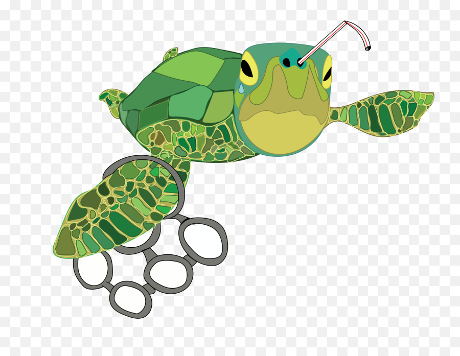 Turtle Cartoon Png - Turtle With Straw Png Emoji,Sea Turtle Clipart
