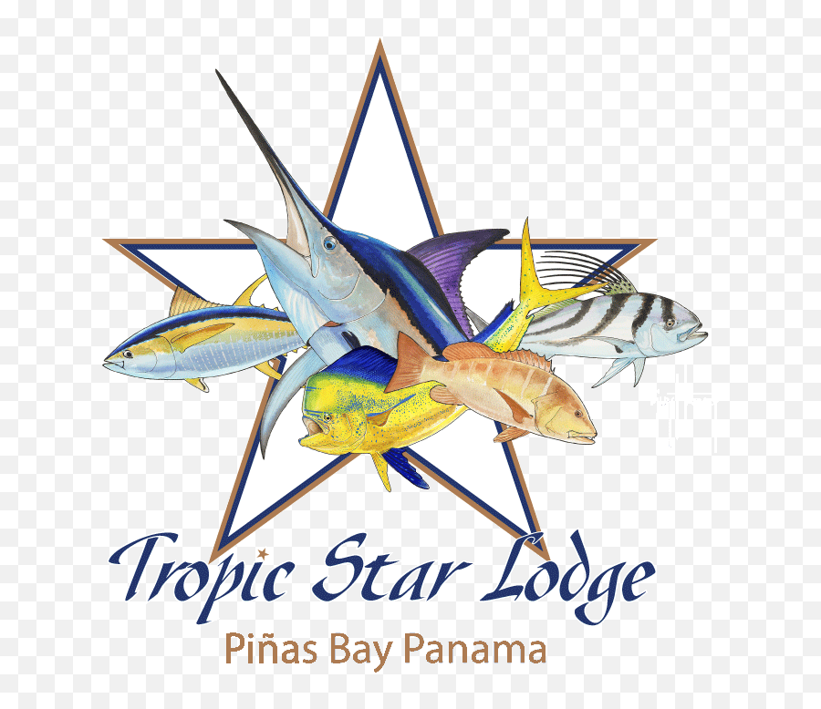 Conservation U2022 Tropic Star Emoji,Star Logo Nova