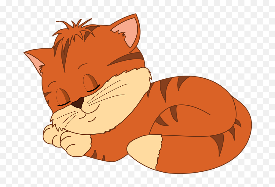 Free Photo Kitten Sleeping Cat Cute Cat Sleep Comfort Pet Emoji,Cute Cat Transparent