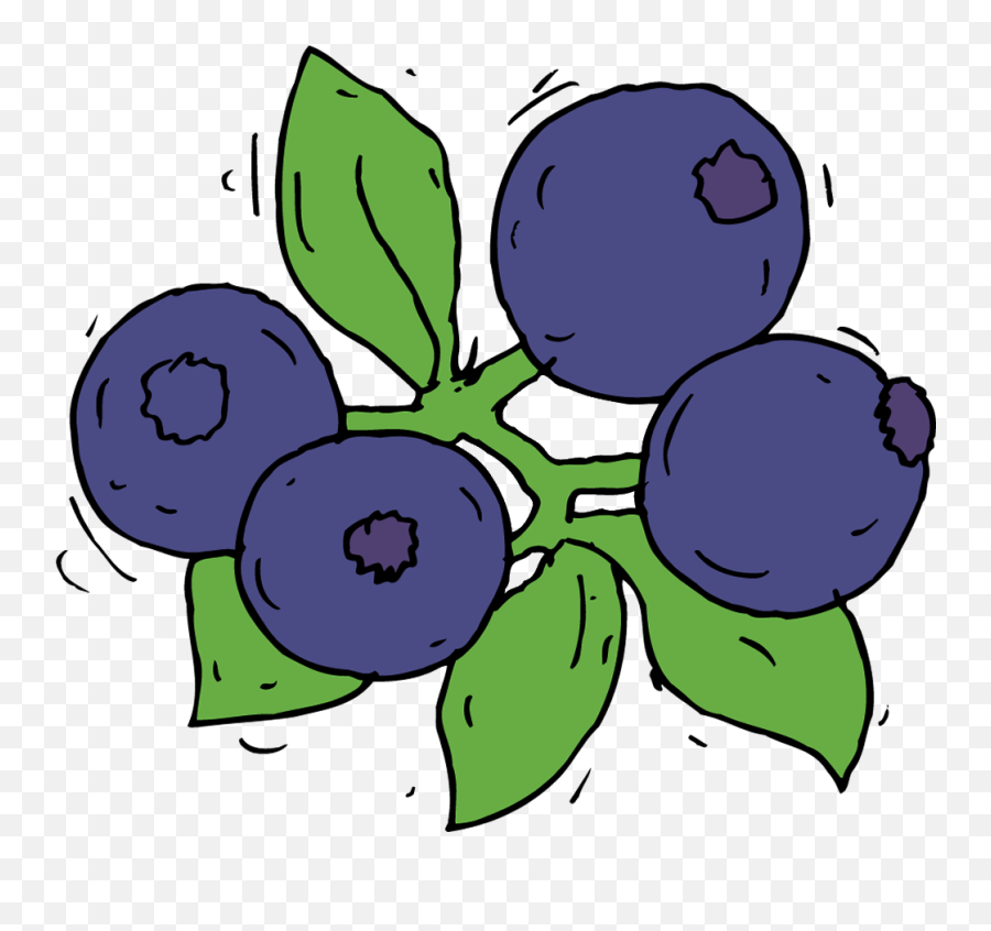 Draw Blue Berry Clipart - Draw A Blue Fruit Emoji,Blueberry Clipart