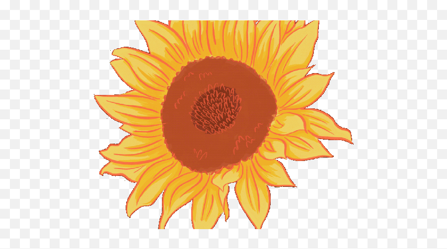 Planting Clipart Animation Transparent Animated Flowers Png - Fresh Emoji,Sunflower Transparent