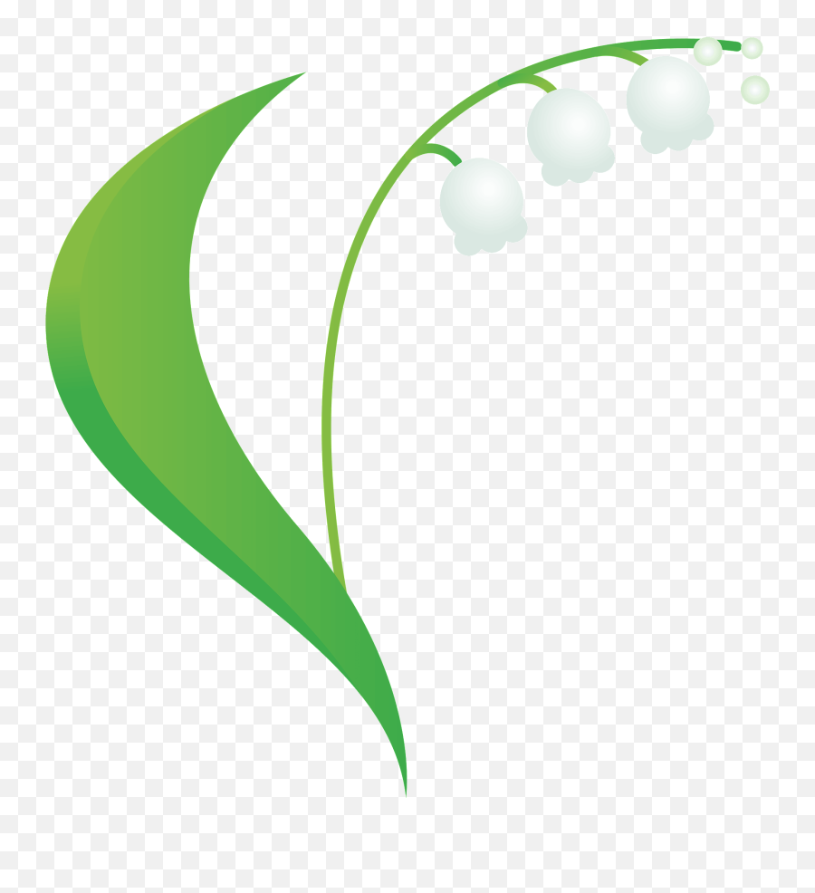 Lily Of The Valley Clipart - Lily Of The Valley White Clipart Transparent Emoji,Valley Clipart
