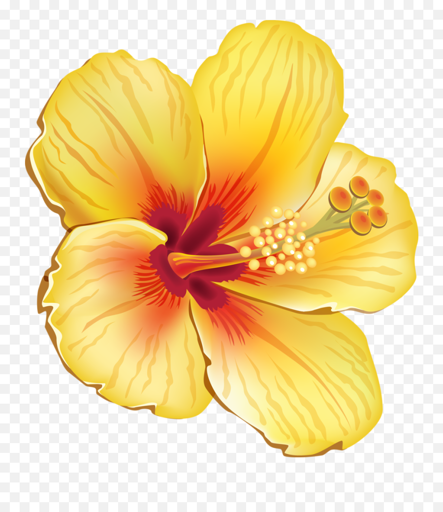 Hawaii Clipart Tropical Hawaii Tropical Transparent Free - Hawaiian Flower Png Emoji,Hawaiian Clipart