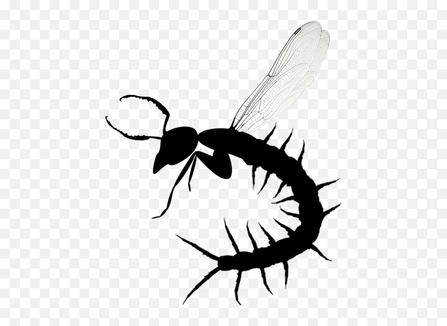 Download Scarab Jaws For Antennae Dragonfly Wings - Dragonfly Centipede Emoji,Centipede Png
