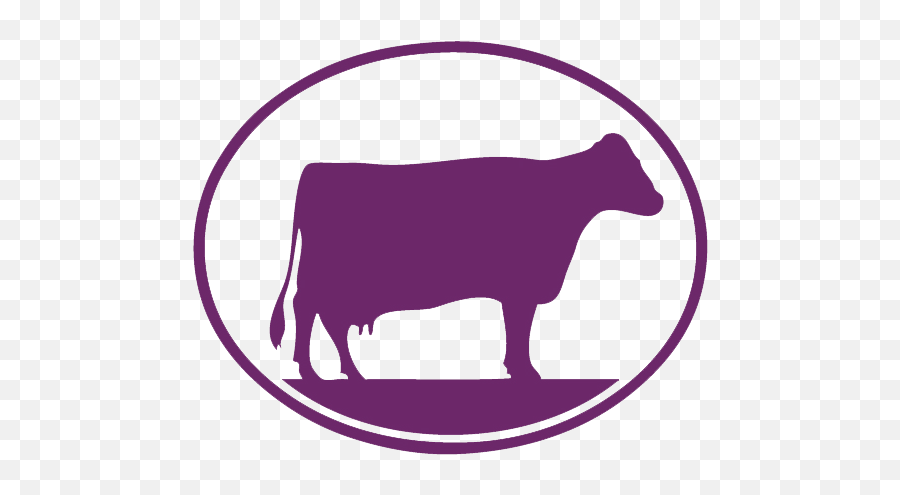 The Purple Cow Gift Shop - Animal Figure Emoji,Cow Logo