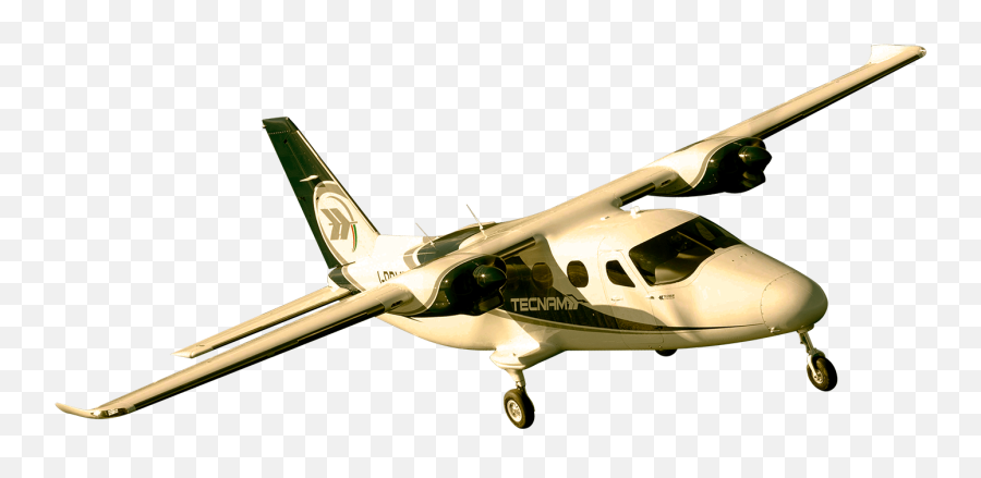 Tecnam Aircraft Single U0026 Twin Engine Planes Soar Higher - Aircraft Emoji,Plane Png