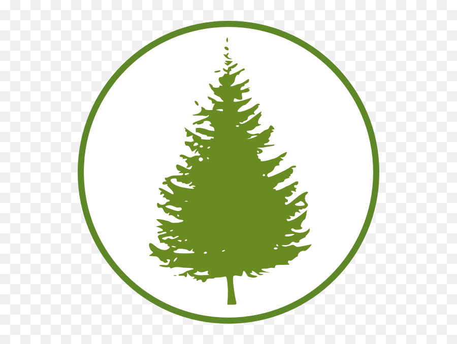 Pine Tree Vector Png Emoji,Forest Clipart Backgrounds