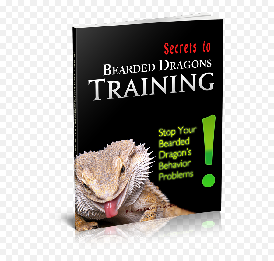 Secrets To Bearded Dragons Training - Bearded Dragon Training Emoji,Bearded Dragon Png