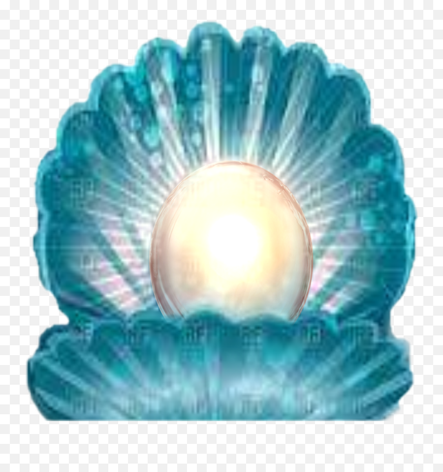 Pearl Clamp Seashell Seashells Shell - Shell Emoji,Seashells Clipart
