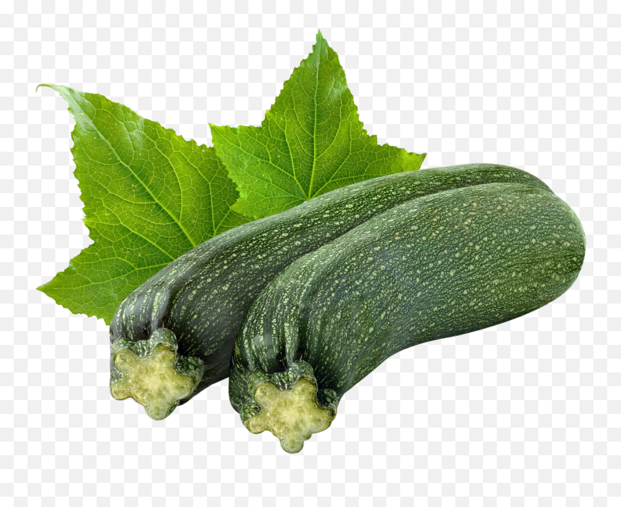 Zucchini Buy Sell Online Fresh Herbs U0026 Spices With Cheap Emoji,Zucchini Clipart