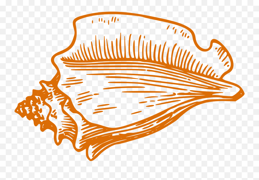Clipart Of Orange Shell - Conch Shell Clipart Emoji,Biology Clipart