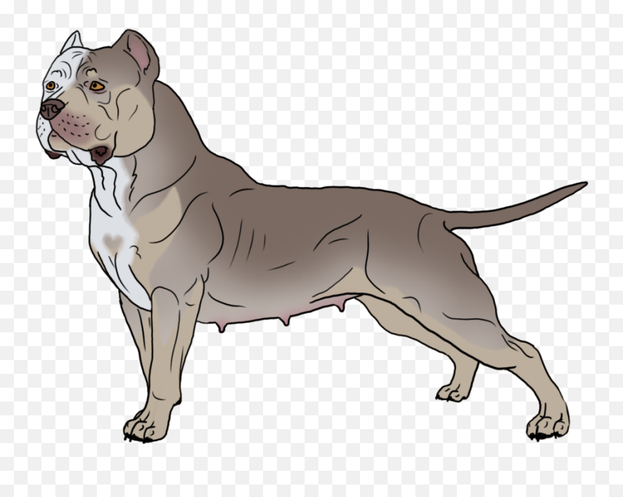 American Pit Bull Terrier Bulldog American Staffordshire - Transparent Png American Bully Emoji,Pitbull Png