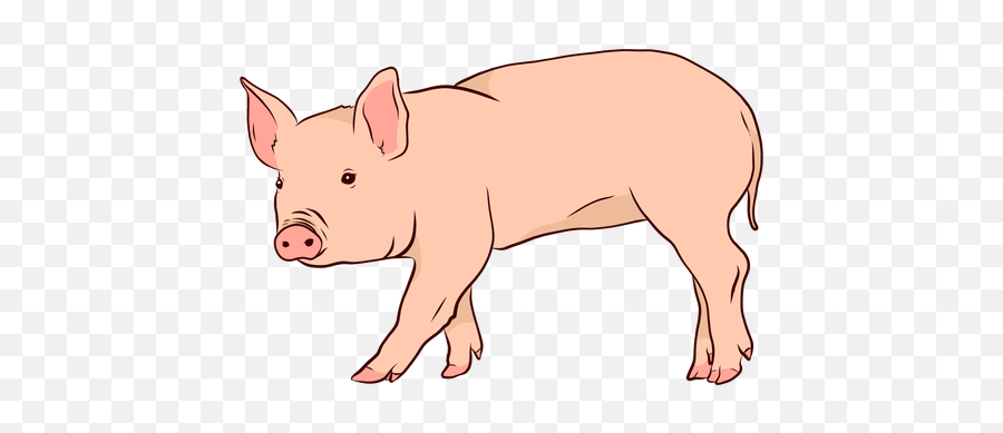 Pig Snout Ear Hoof Illustration - Illustration Pig Vector Png Emoji,Piglet Logo