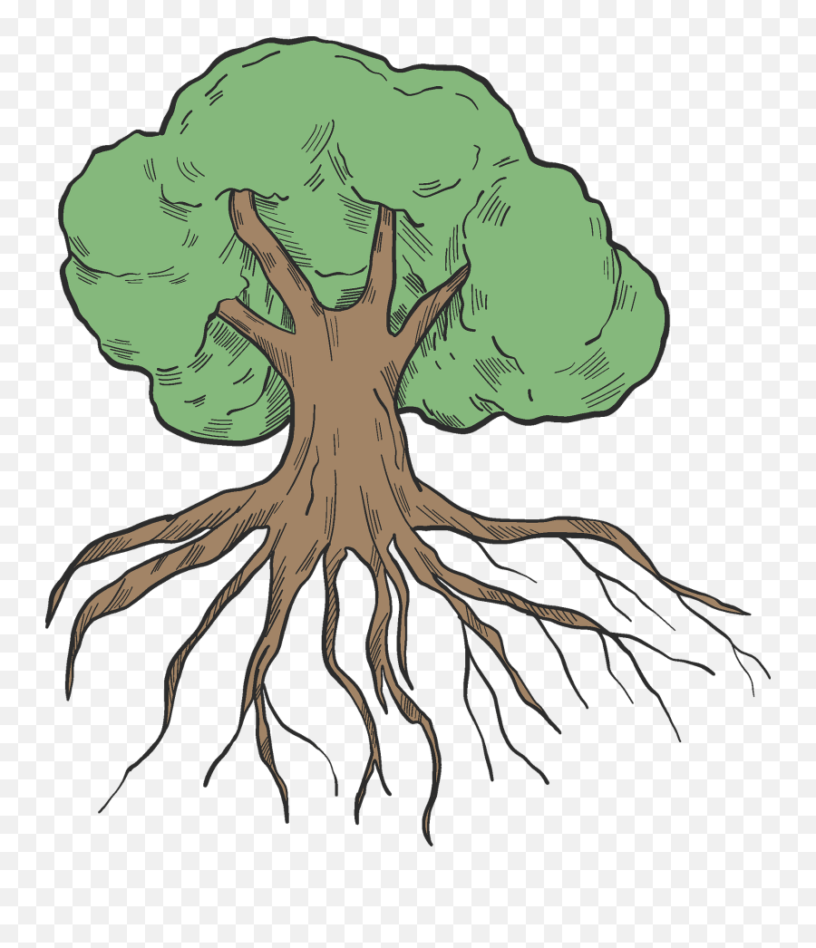 Tree With Roots Clipart - Coloring Pages For Roots Emoji,Roots Clipart