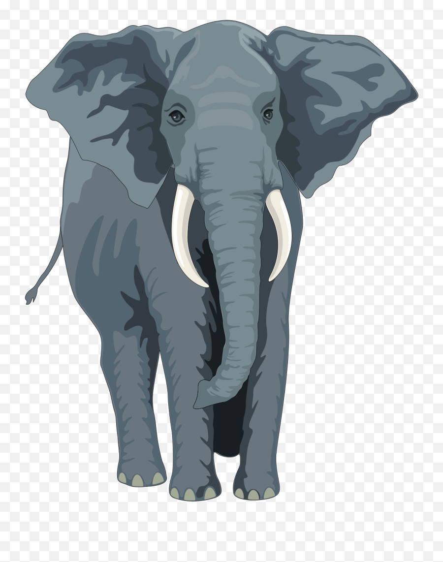 African Elephant Clipart Free Download Transparent Png - Elephant Clipart Emoji,Elephants Clipart