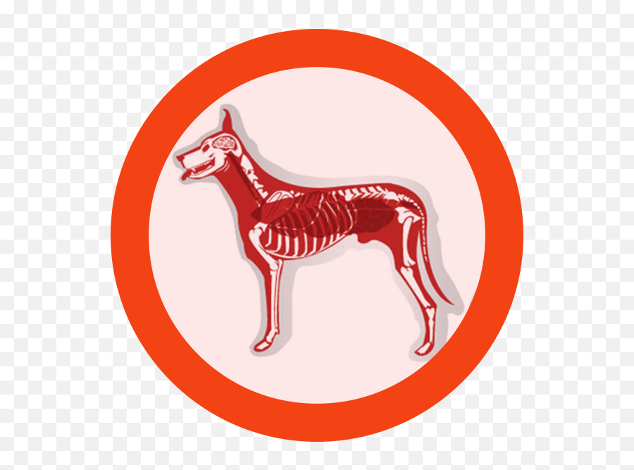 Pets Clipart Dog Bone Pets Dog Bone Transparent Free For - Ancient Dog Breeds Emoji,Dog Bone Clipart