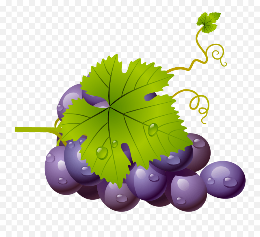 Syrah Corbera Winery Emoji,Raisin Clipart