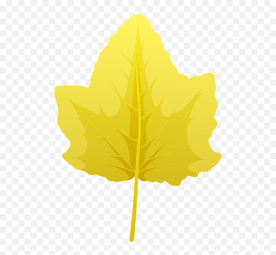 White Poplar Autumn Leaf Clipart Free Download Transparent - Lovely Emoji,Leaf Clipart