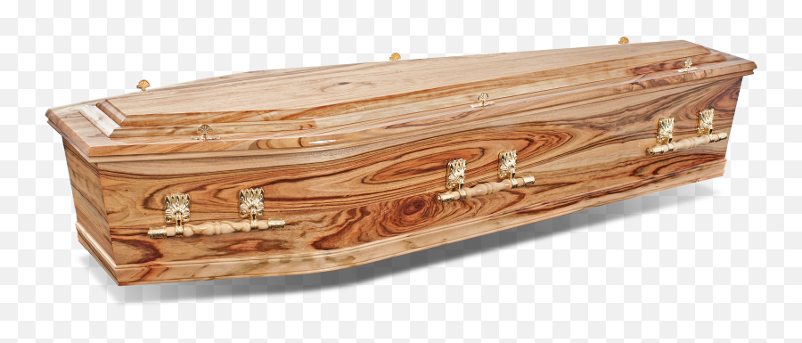 Coffins U2014 The Last Hurrah Emoji,Coffin Transparent